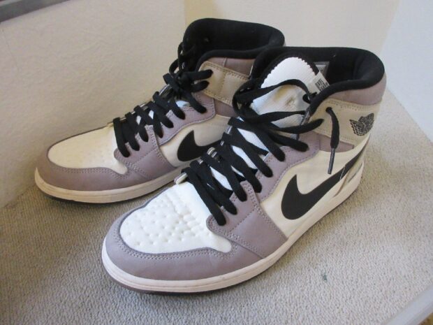 ナイキ　NIKE AIR JORDAN 1 ELEMENT GORE-TEX DB2889-100 スニーカー