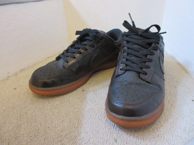 ナイキ NIKE DUNK LOW SE ダンクロー ベルベットブラウン アンド ブラック DV1024-010 スニーカー