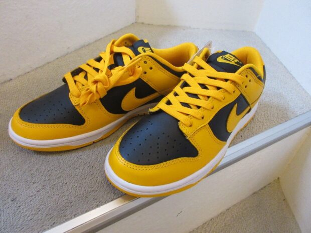 ナイキ NIKE DUNK LOW RETRO DD1391-004 アイオア スニーカー