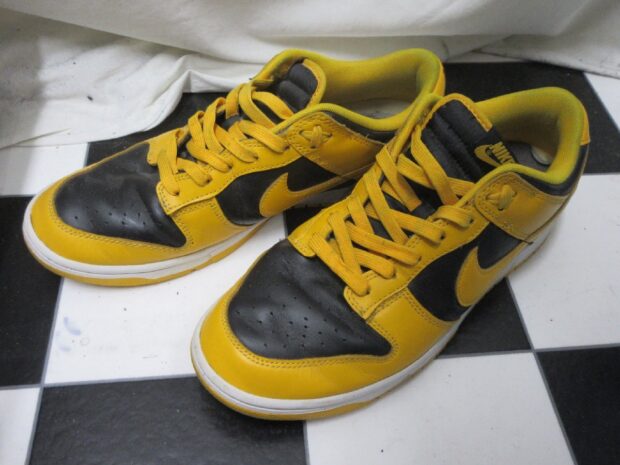 ナイキ NIKE DUNK LOW RETRO DD1391-004 アイオア スニーカー